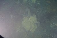 
DSC00245